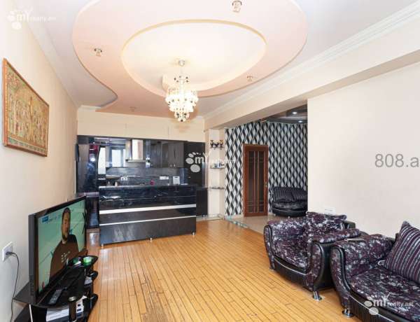 3-senyakanoc-bnakaran-vardzakalutyun-Yerevan-Center