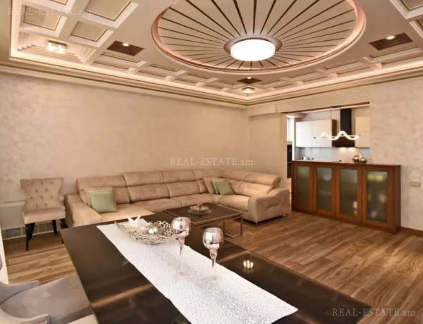 3-senyakanoc-bnakaran-vardzakalutyun-Yerevan-Center