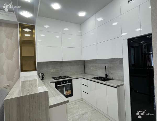 3-senyakanoc-bnakaran-vardzakalutyun-Yerevan-Davtashen