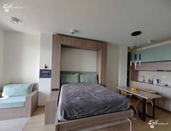 1-senyakanoc-bnakaran-vardzakalutyun-Yerevan-Center