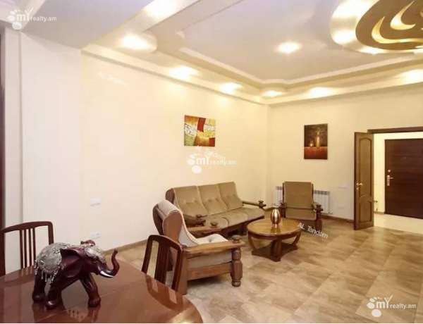 3-senyakanoc-bnakaran-vardzakalutyun-Yerevan-Center