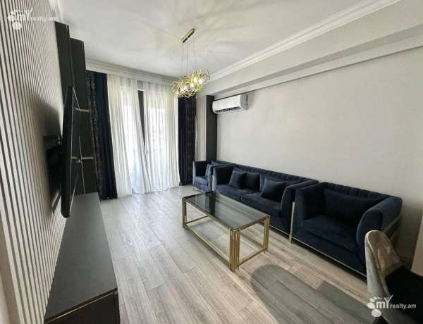 2-senyakanoc-bnakaran-vardzakalutyun-Yerevan-Arabkir