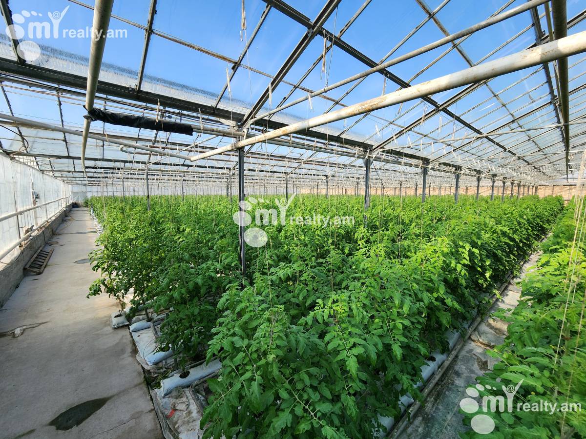 Land for sale Aramus, Aramus Kotayk, 158581