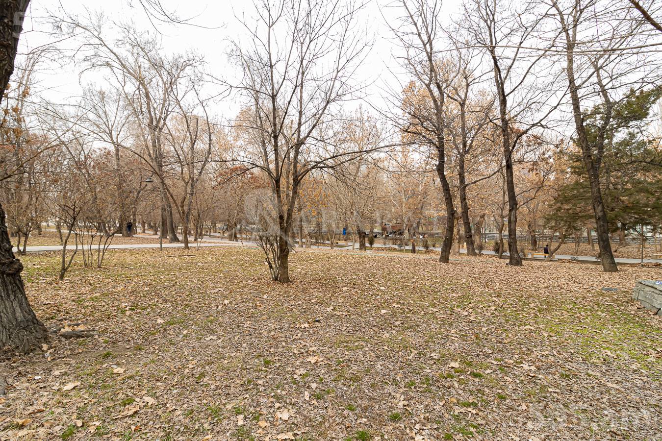 Купить 2 комнатную квартиру Е. Кочар ул, Центр Ереван, 154619