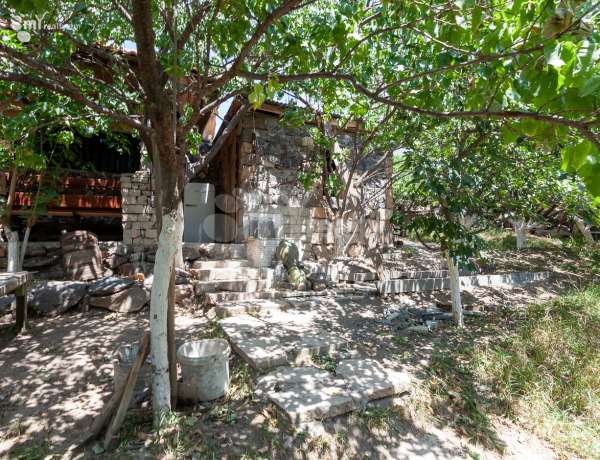 arandznatun-vardzakalutyun-Yerevan-Center