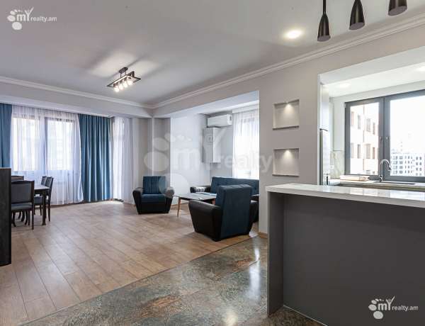 3-senyakanoc-bnakaran-vardzakalutyun-Yerevan-Arabkir