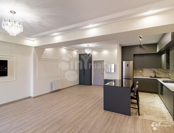 3-senyakanoc-bnakaran-vardzakalutyun-Yerevan-Center