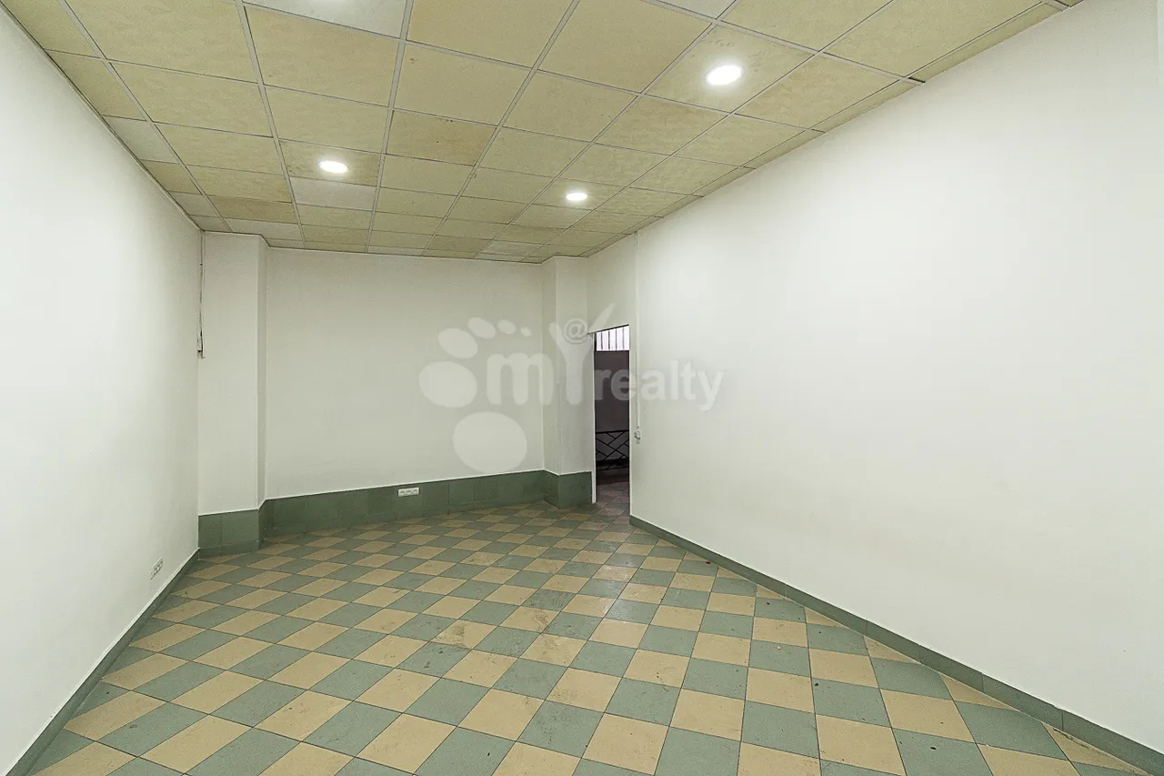 Commercial property for sale M.Khorenatsi St, Center Yerevan, 160418