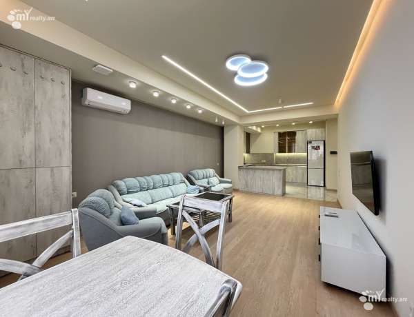 2-senyakanoc-bnakaran-vardzakalutyun-Yerevan-Center