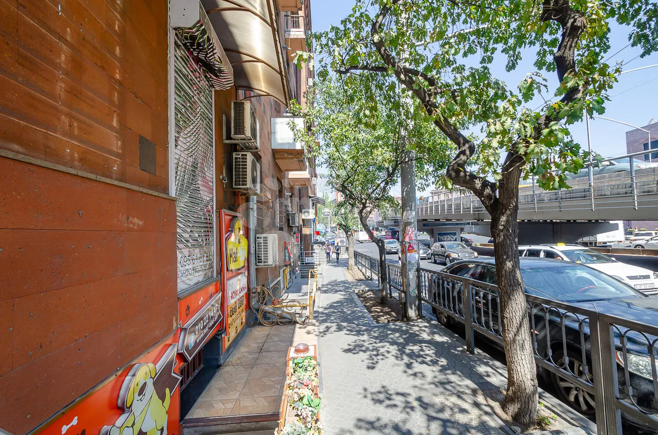Commercial for sale (خیابان باقرامیان (عربکیر, عربگیر ایروان, 158197