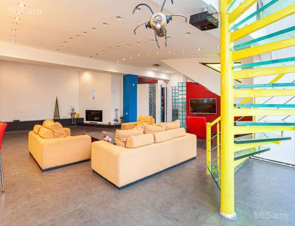 3-senyakanoc-bnakaran-vardzakalutyun-Yerevan-Center