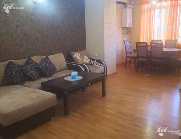 3-senyakanoc-bnakaran-vardzakalutyun-Yerevan-Center