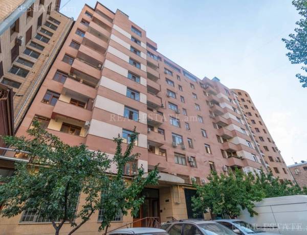 3-senyakanoc-bnakaran-vardzakalutyun-Yerevan-Center