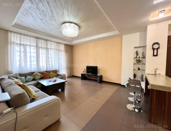 3-senyakanoc-bnakaran-vardzakalutyun-Yerevan-Center