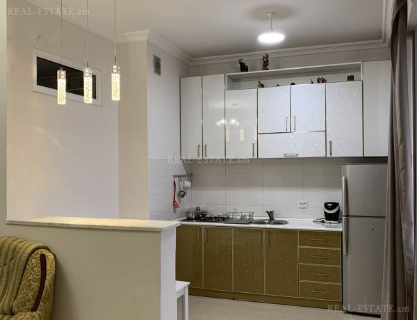 3-senyakanoc-bnakaran-vacharq-Yerevan-Center