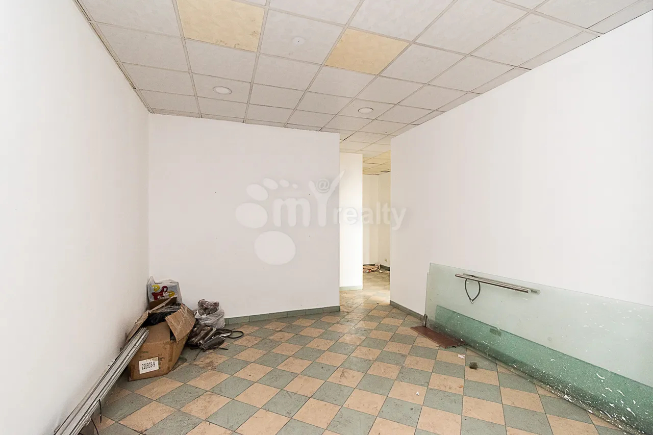 Commercial property for sale M.Khorenatsi St, Center Yerevan, 160418