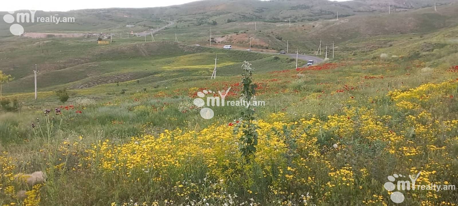 Land for sale Garni, گارنی کوتایک, 155590