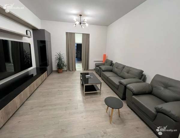 4-senyakanoc-bnakaran-vardzakalutyun-Yerevan-Center