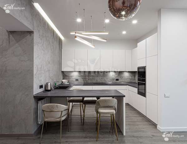 2-senyakanoc-bnakaran-vardzakalutyun-Yerevan-Center