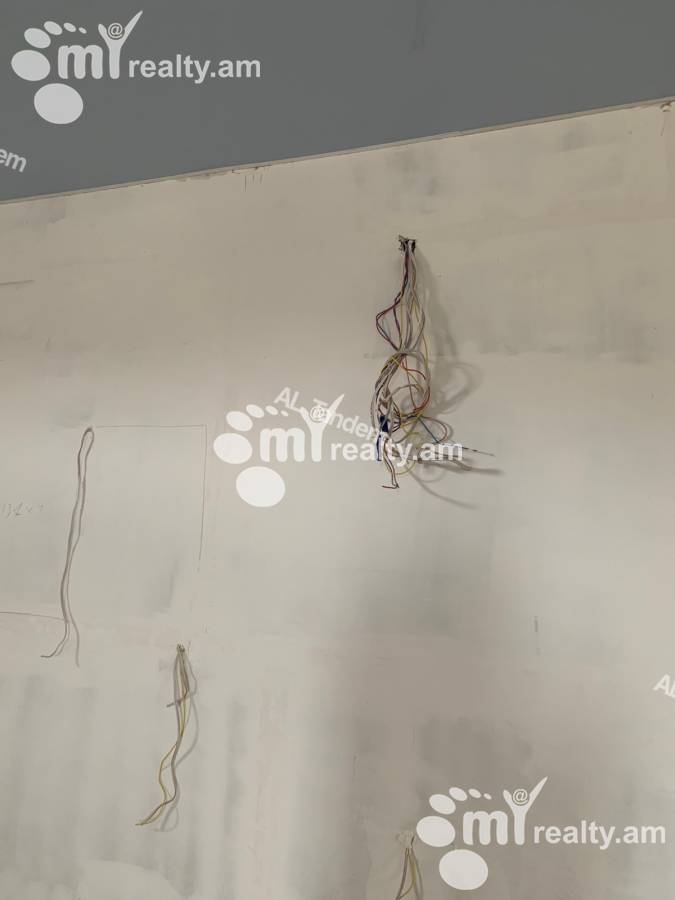 Commercial for sale محله، خیابان باگرِواند, نور نورک ایروان, 122652