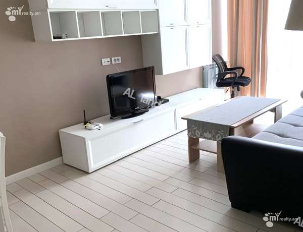 2-senyakanoc-bnakaran-vardzakalutyun-Yerevan-Center