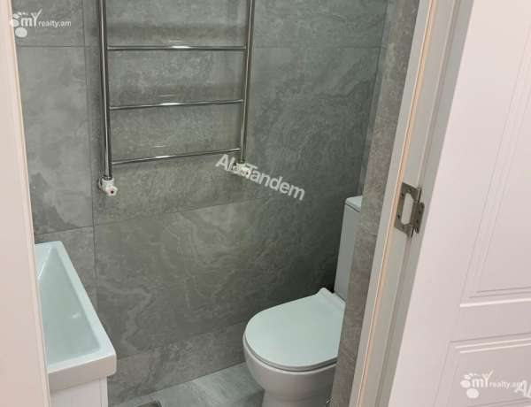 2-senyakanoc-bnakaran-vardzakalutyun-Yerevan-Center