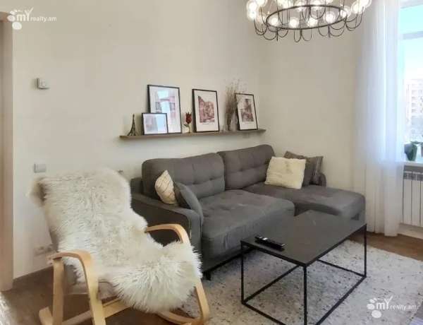3-senyakanoc-bnakaran-vardzakalutyun-Yerevan-Arabkir