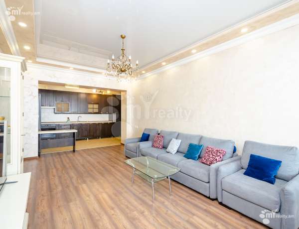 3-senyakanoc-bnakaran-vardzakalutyun-Yerevan-Center