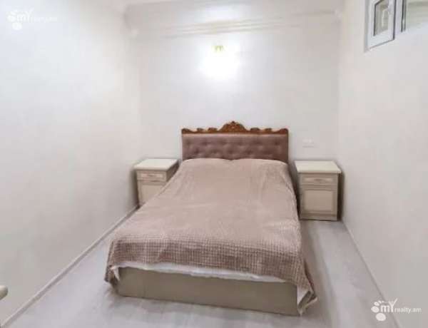 2-senyakanoc-bnakaran-vardzakalutyun-Yerevan-Center