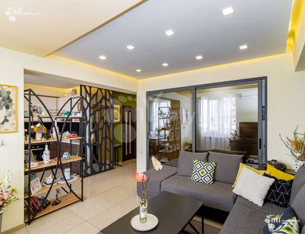 2-senyakanoc-bnakaran-vardzakalutyun-Yerevan-Arabkir