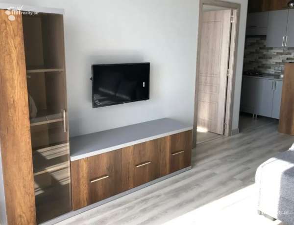 2-senyakanoc-bnakaran-vardzakalutyun-Yerevan-Achapnyak