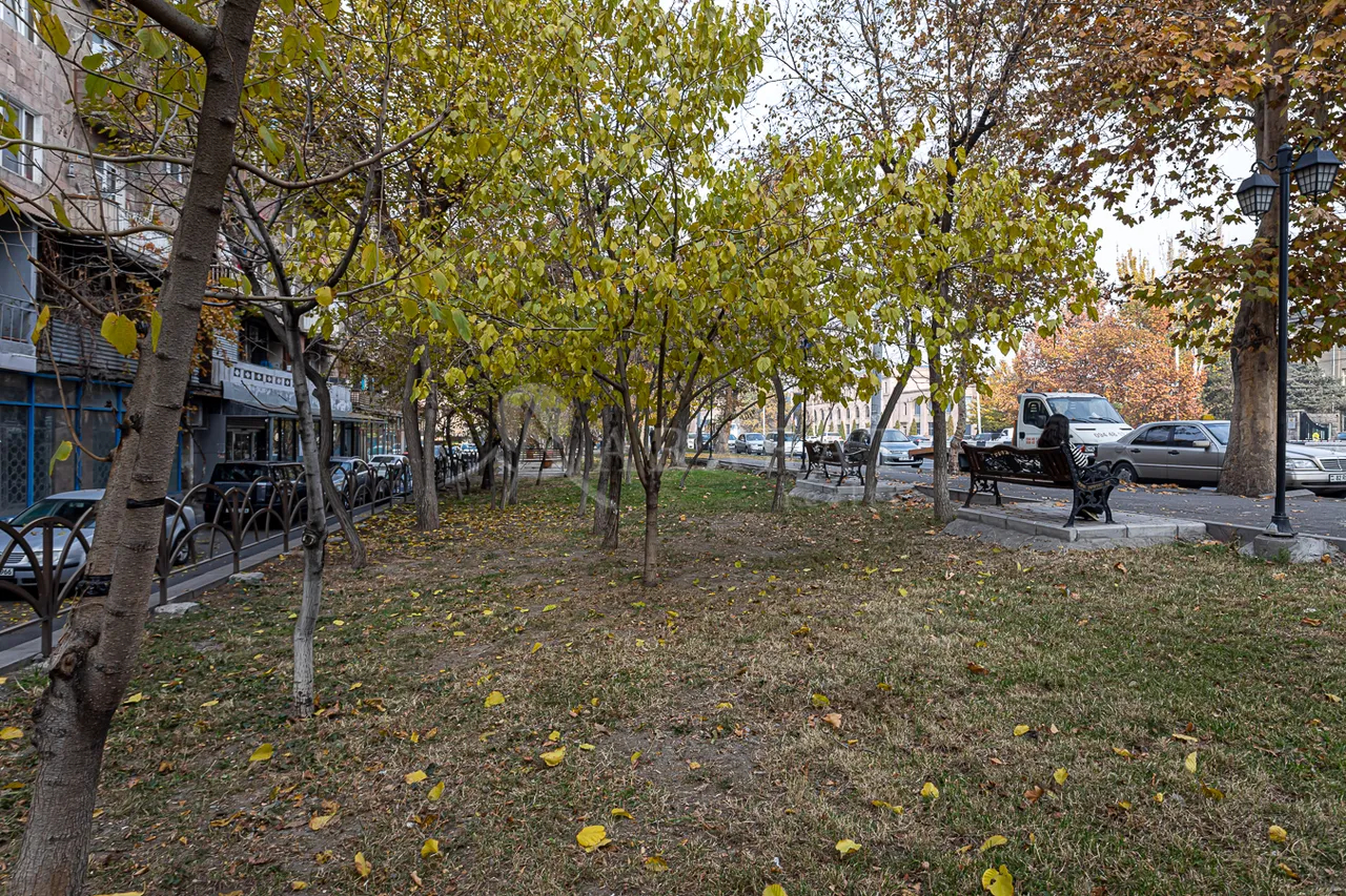 Կոմերցիոն տարածք վարձով Արշակունյաց պող, Շենգավիթ Երևան, 157926