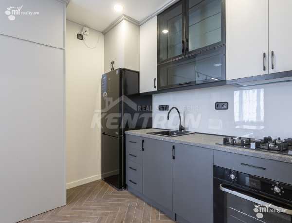 2-senyakanoc-bnakaran-vardzakalutyun-Yerevan-Center