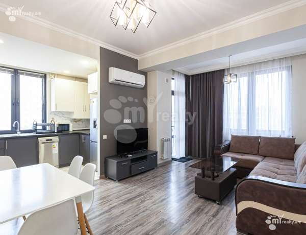 4-senyakanoc-bnakaran-vardzakalutyun-Yerevan-Arabkir