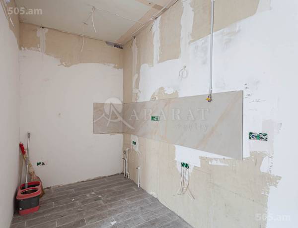 2-senyakanoc-bnakaran-vacharq-Yerevan-Center