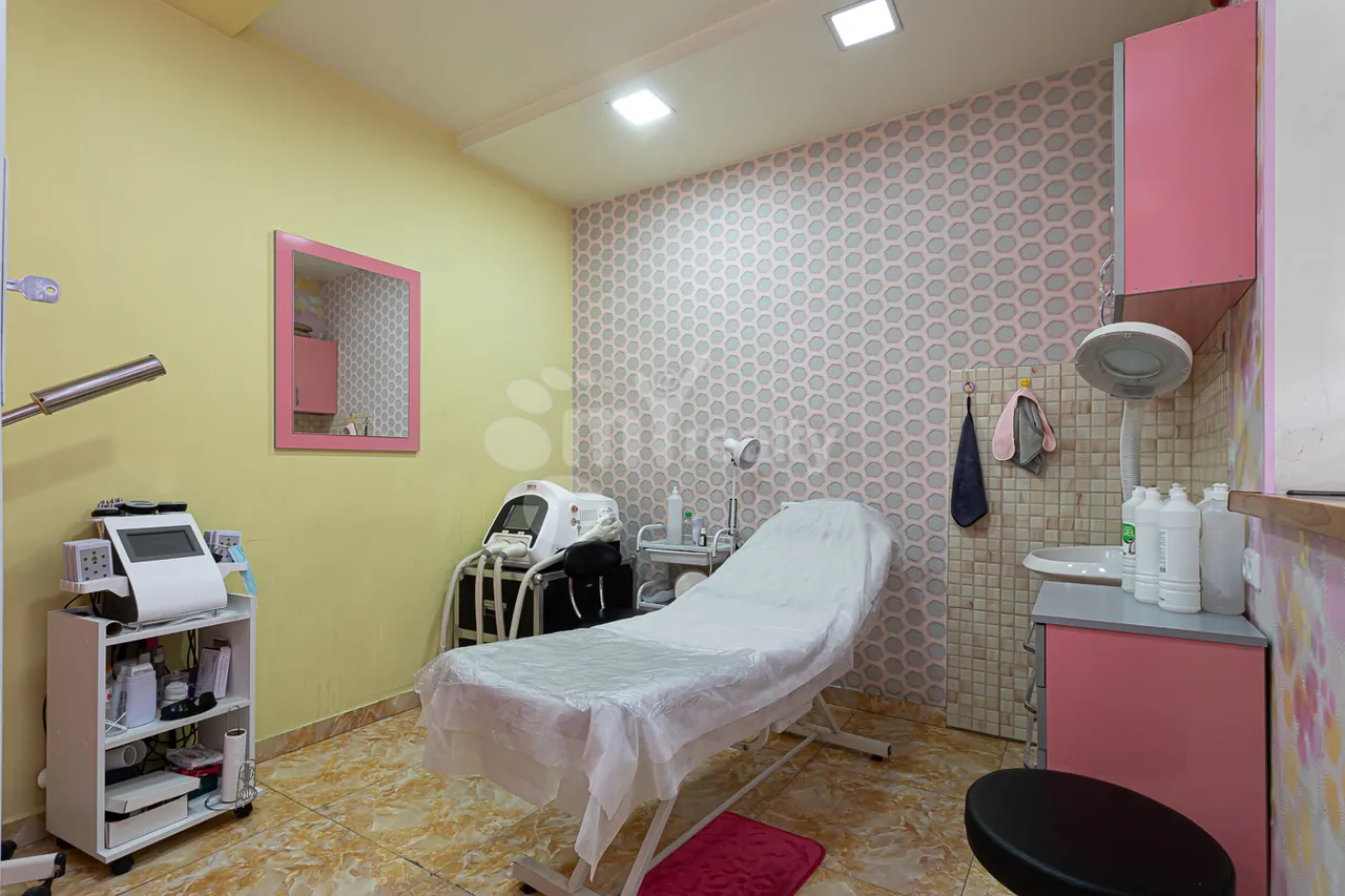 Commercial property for sale K. Ulnetsi St, Kanaqer-Zeytun Yerevan, 159202