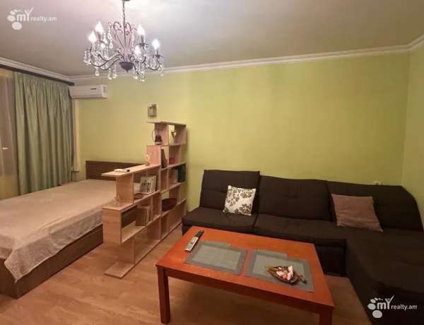 1-senyakanoc-bnakaran-vardzakalutyun-Yerevan-Arabkir
