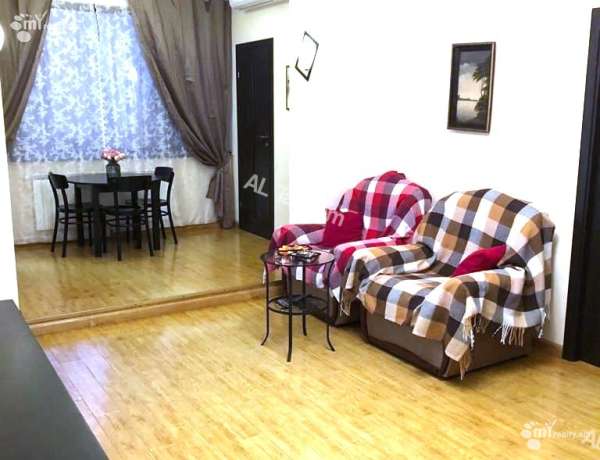 3-senyakanoc-bnakaran-vardzakalutyun-Yerevan-Center