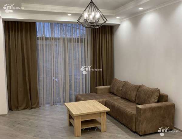 3-senyakanoc-bnakaran-vardzakalutyun-Yerevan-Avan