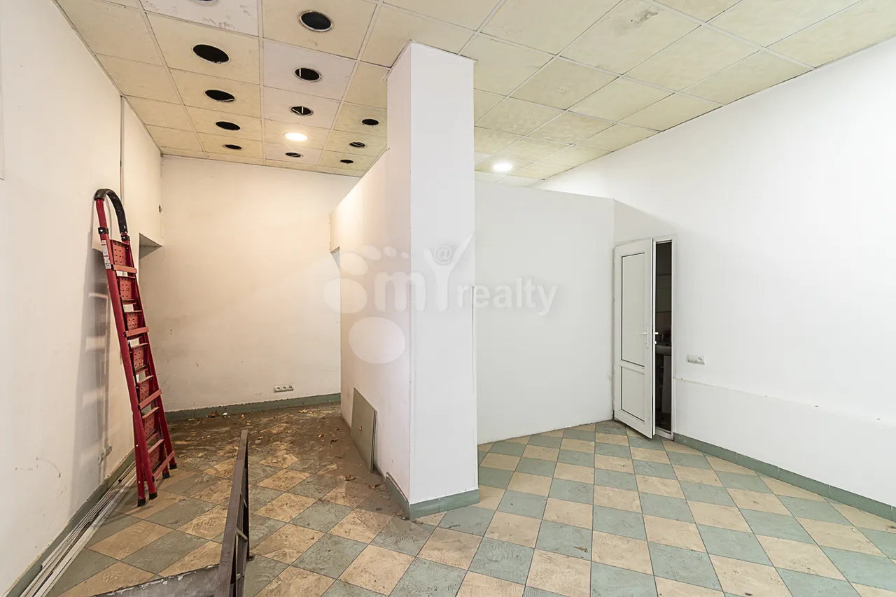 Commercial property for sale M.Khorenatsi St, Center Yerevan, 160418