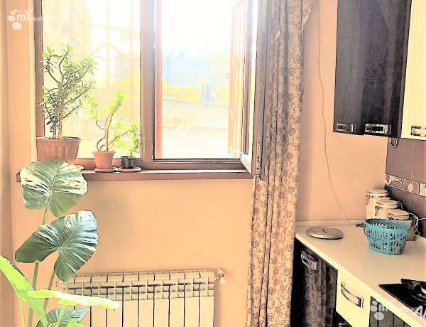 2-senyakanoc-bnakaran-vacharq-Yerevan-Arabkir