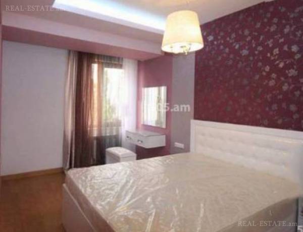 3-senyakanoc-bnakaran-vardzakalutyun-Yerevan-Arabkir