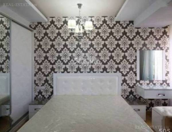 3-senyakanoc-bnakaran-vardzakalutyun-Yerevan-Arabkir