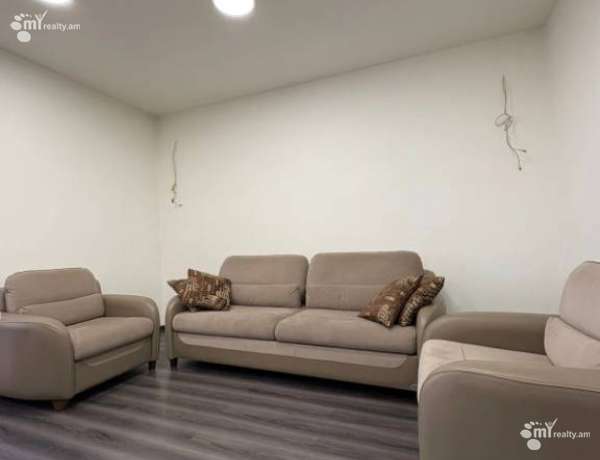 3-senyakanoc-bnakaran-vardzakalutyun-Yerevan-Arabkir