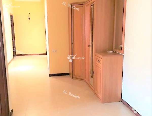 3-senyakanoc-bnakaran-vardzakalutyun-Yerevan-Center