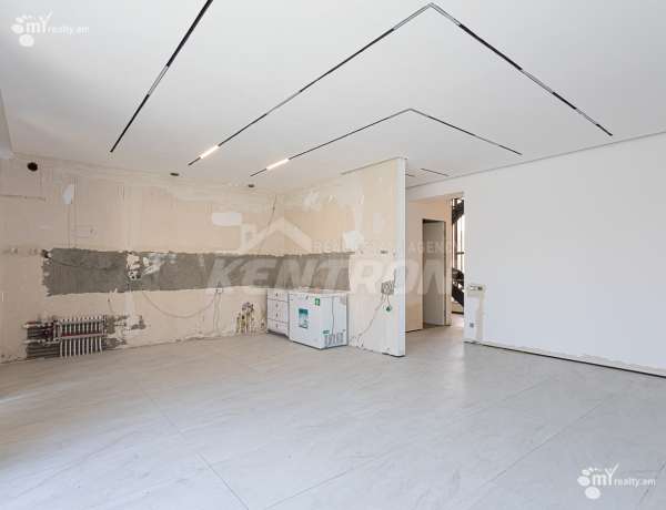 arandznatun-vacharq-Yerevan-Avan