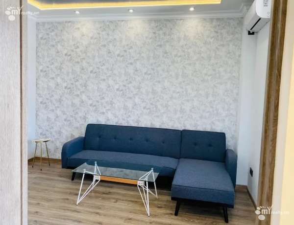 2-senyakanoc-bnakaran-vardzakalutyun-Yerevan-Center