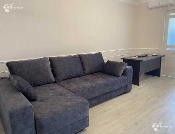 2-senyakanoc-bnakaran-vardzakalutyun-Yerevan-Arabkir