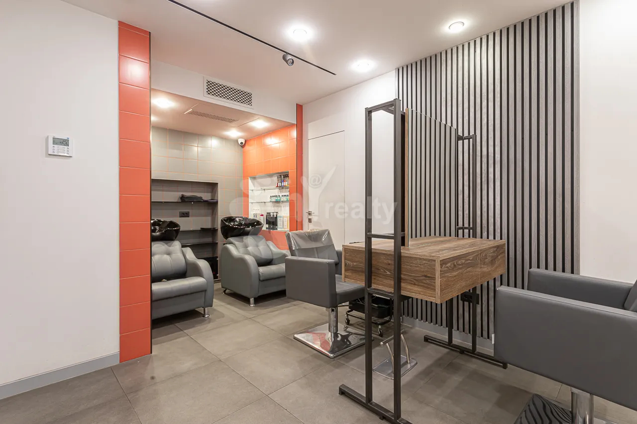 Commercial property for rent Leo St, Center Yerevan, 157702