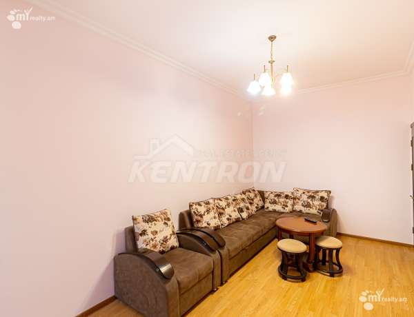 2-senyakanoc-bnakaran-vardzakalutyun-Yerevan-Arabkir